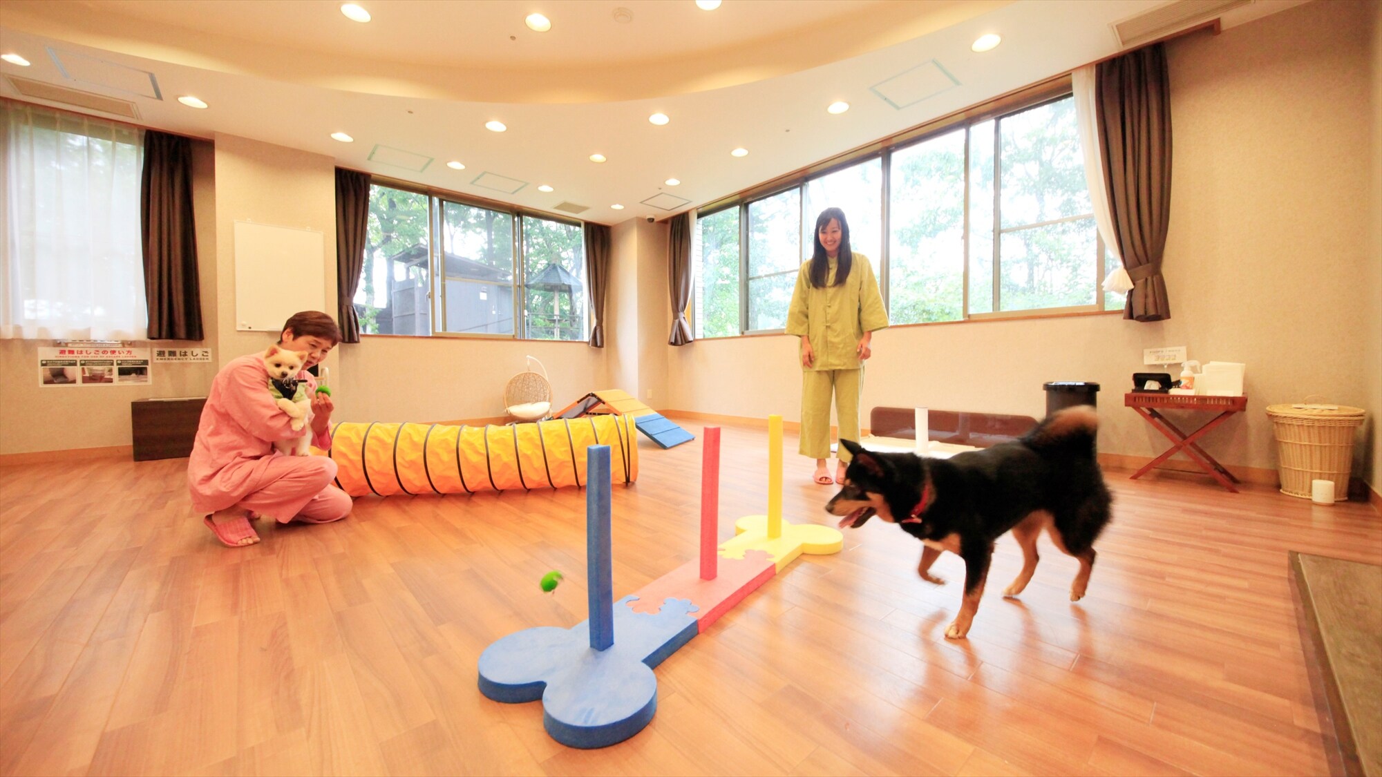 [Mine Mine (indoor)] Fun agility and excitement for dogs.