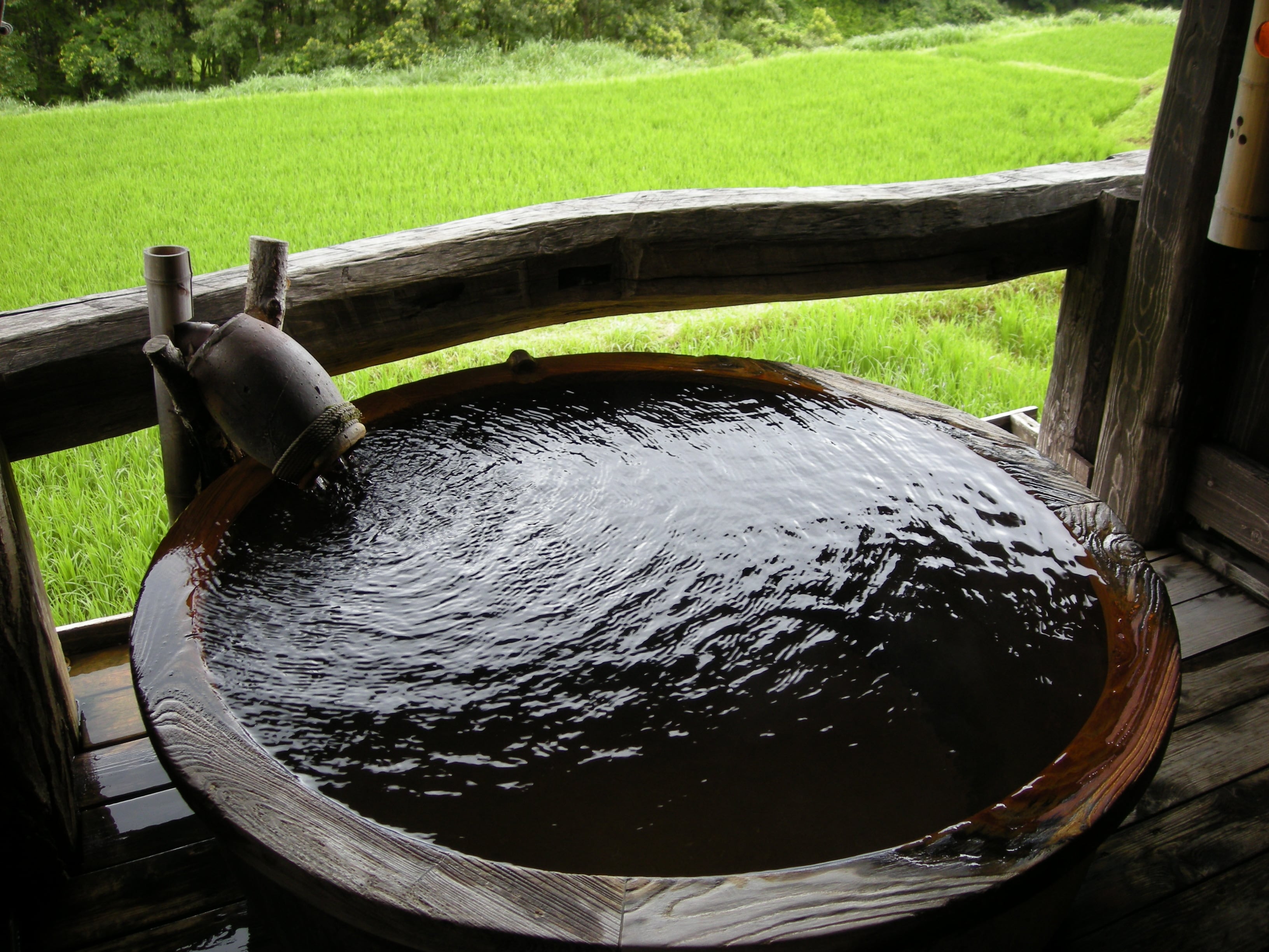 Mini open-air (turtle bath)