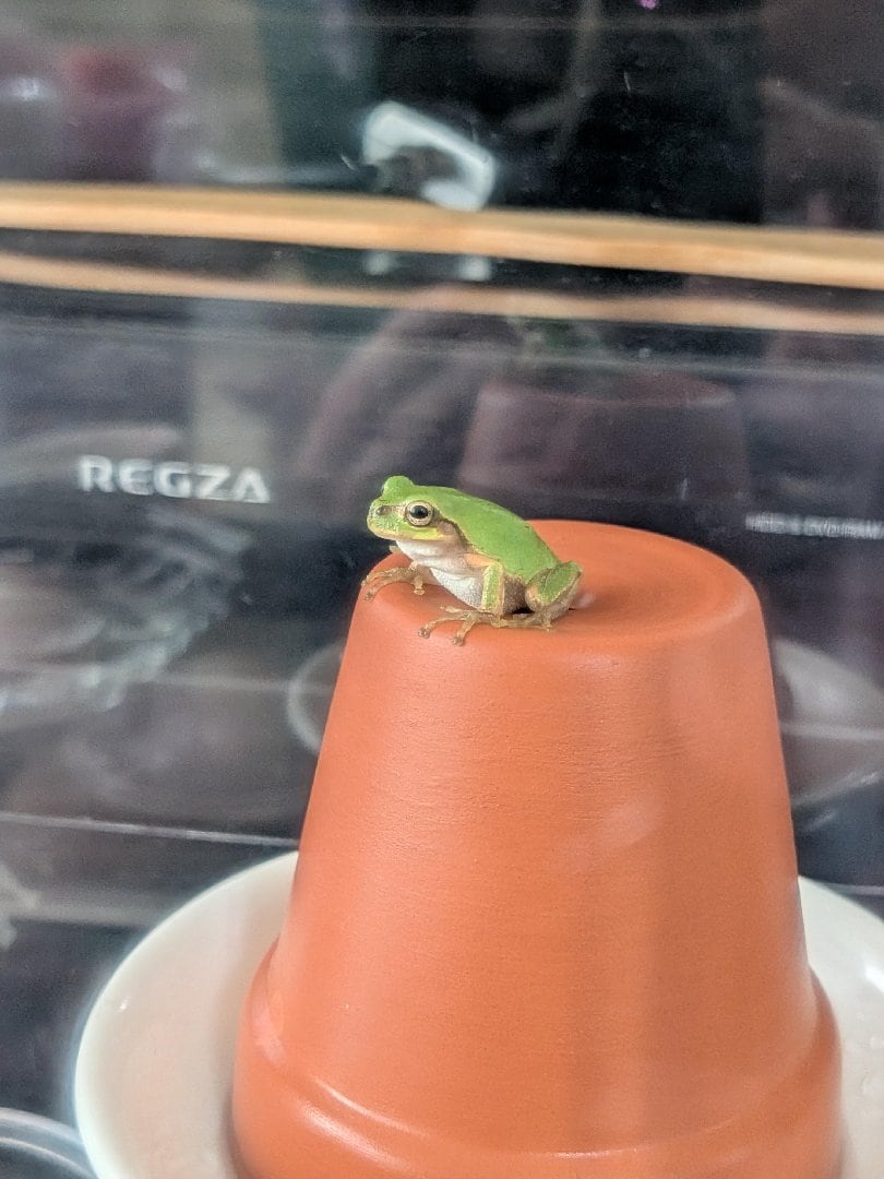 profile