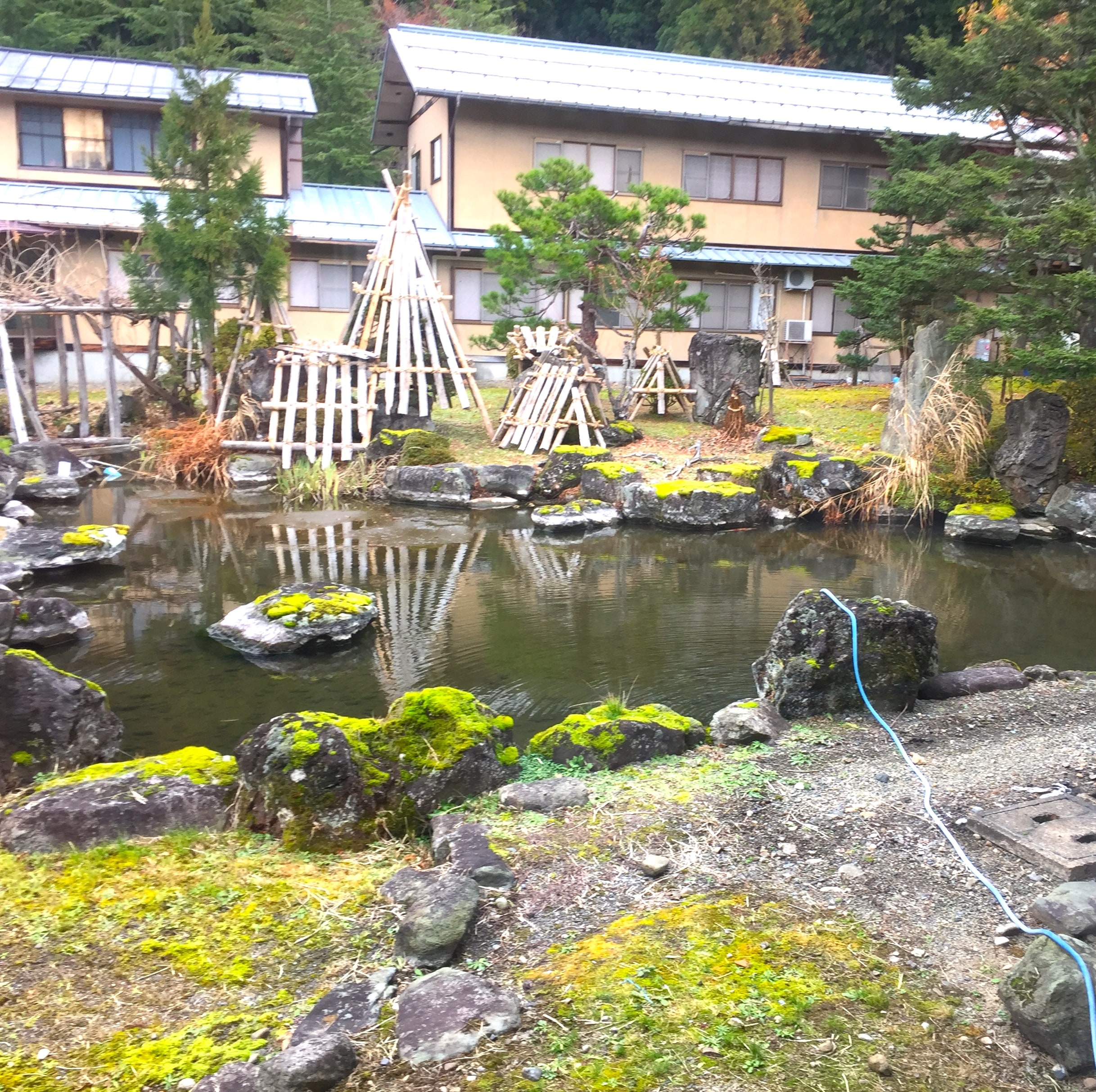 Garden 3