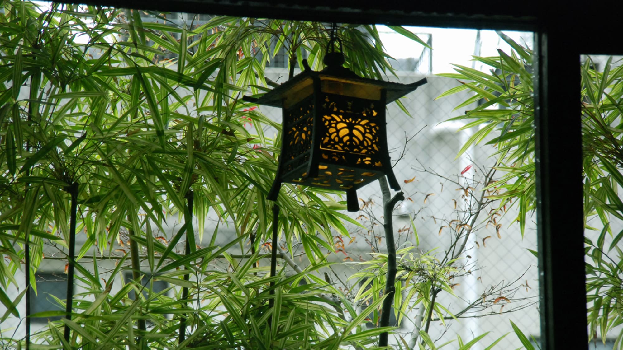 我們力求以純正的日式風格讓您有賓至如歸的感覺。