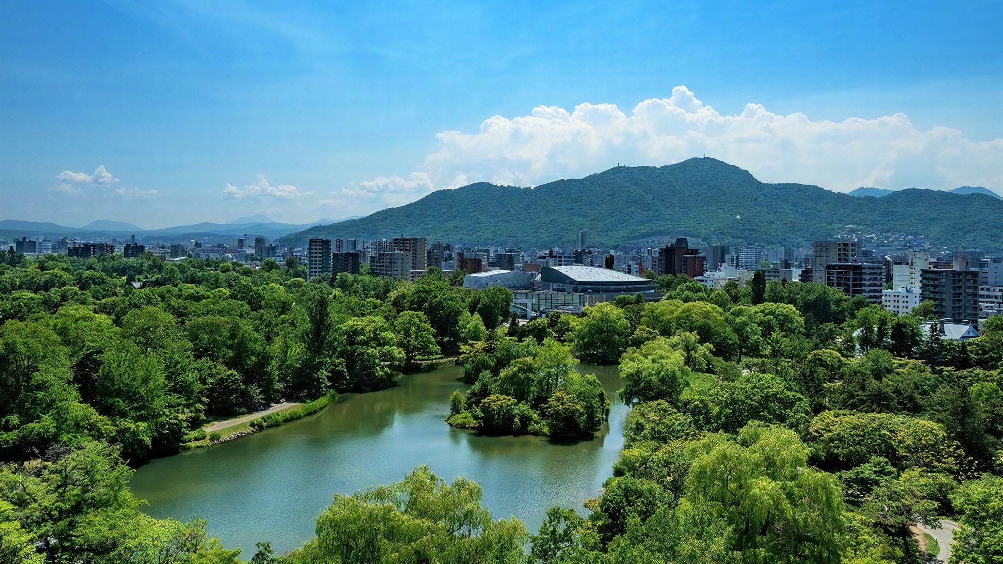 A park view with beautiful greenery in summer