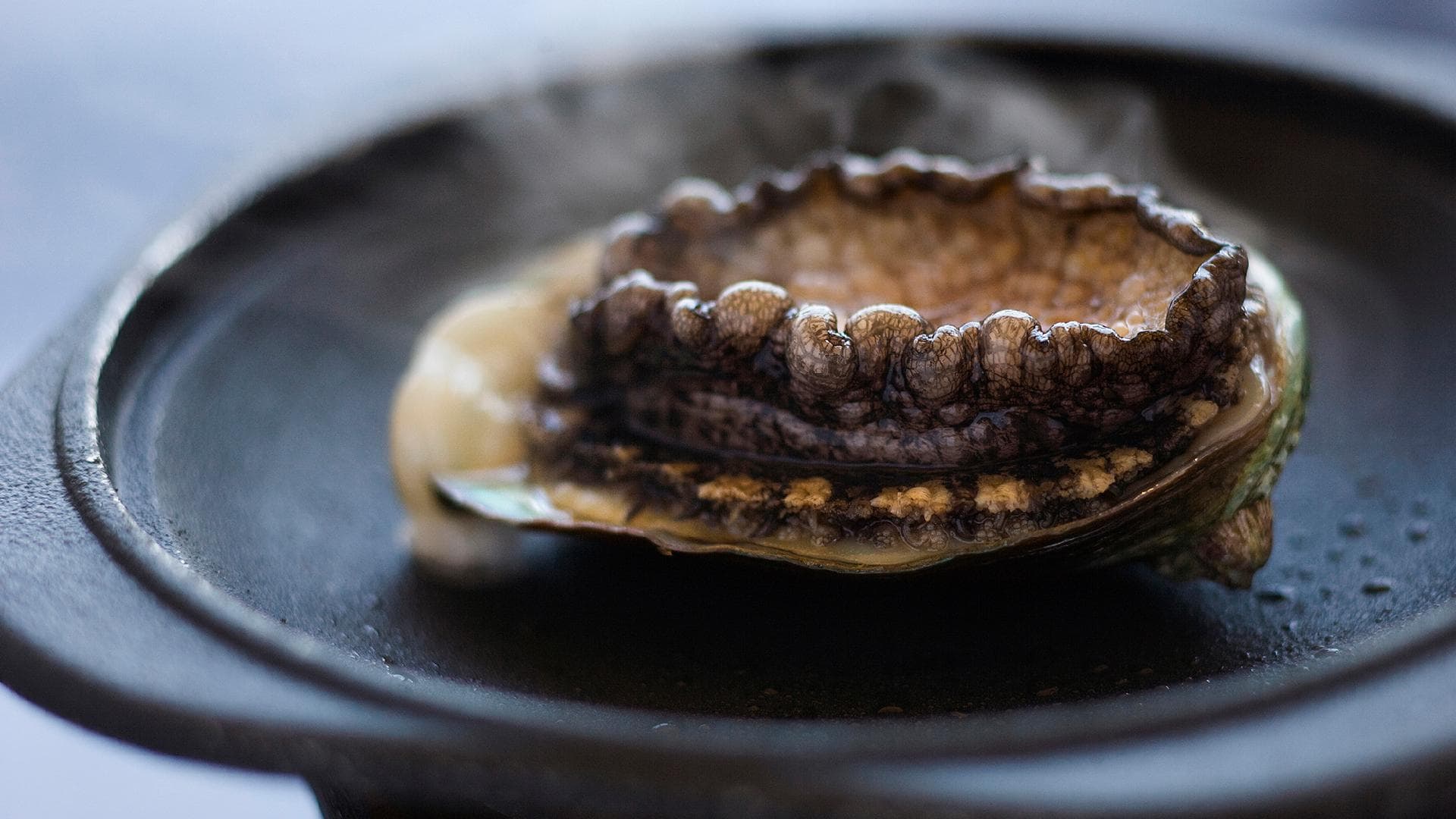 [Abalone]