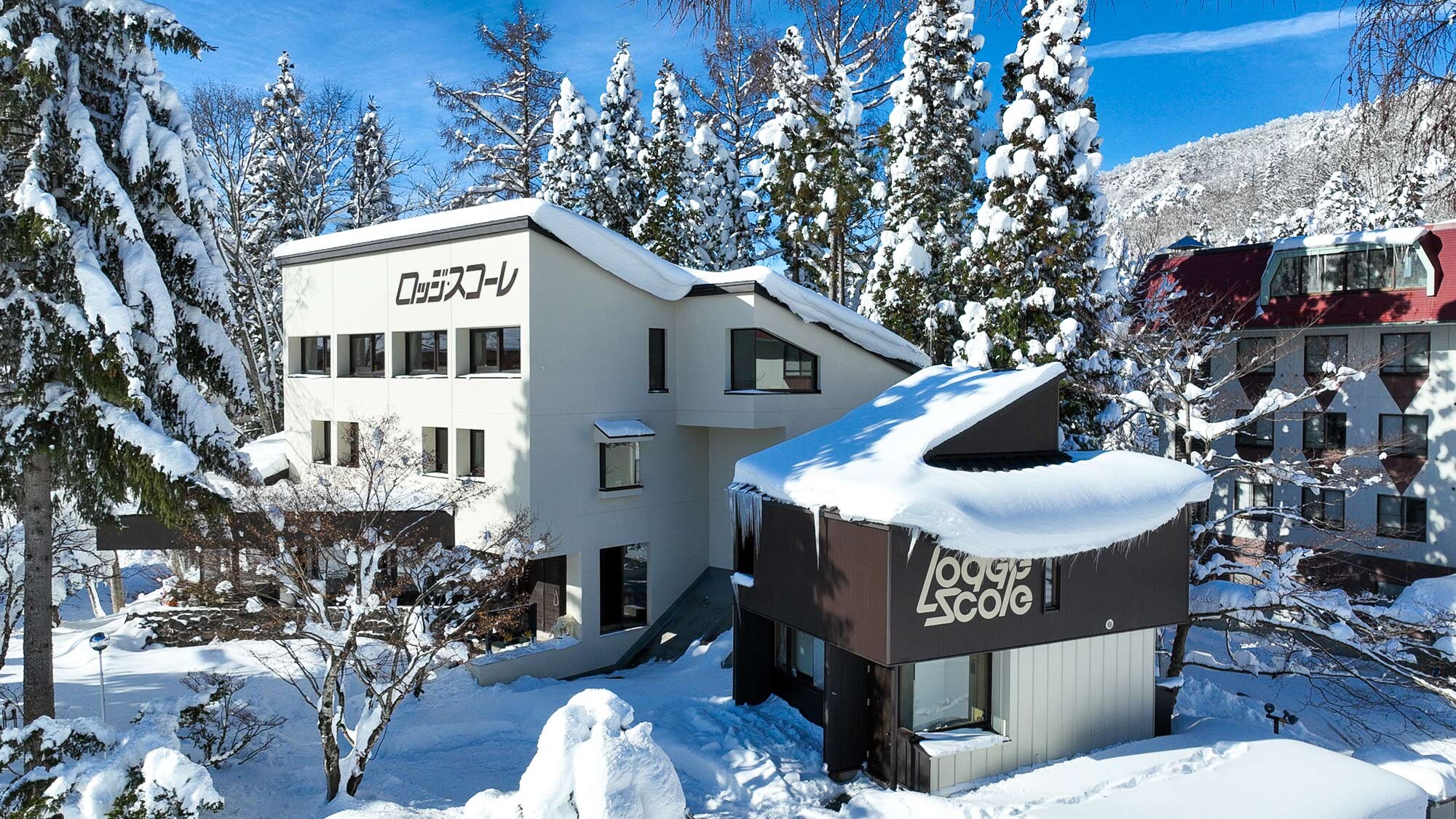 ・[Pemandangan luar di siang hari] Bermain ski dan pepohonan yang tertutup es! Nikmati musim dingin di Zao