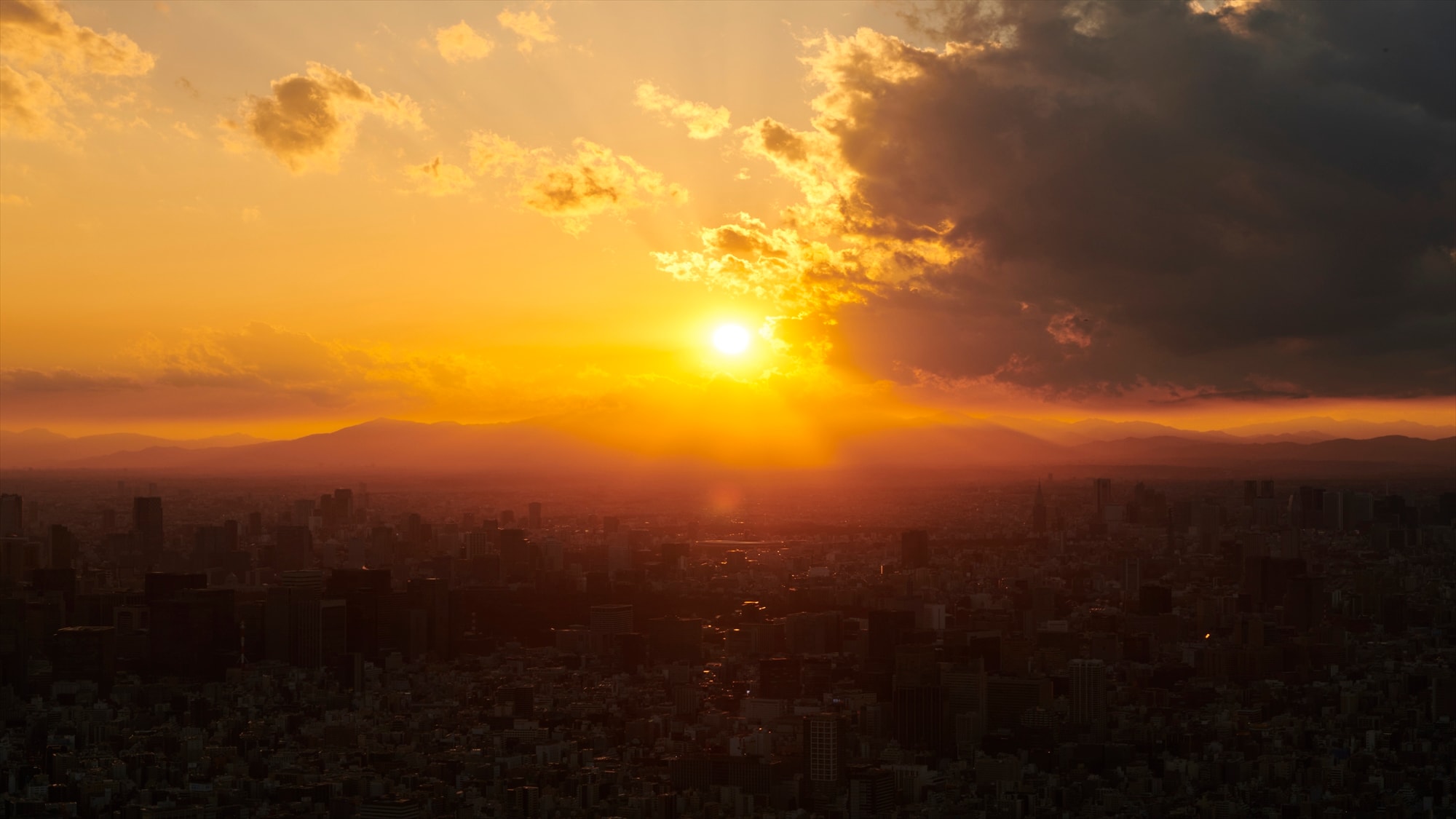 มุมมองจาก Tembo Galleria (กลางคืน) ①