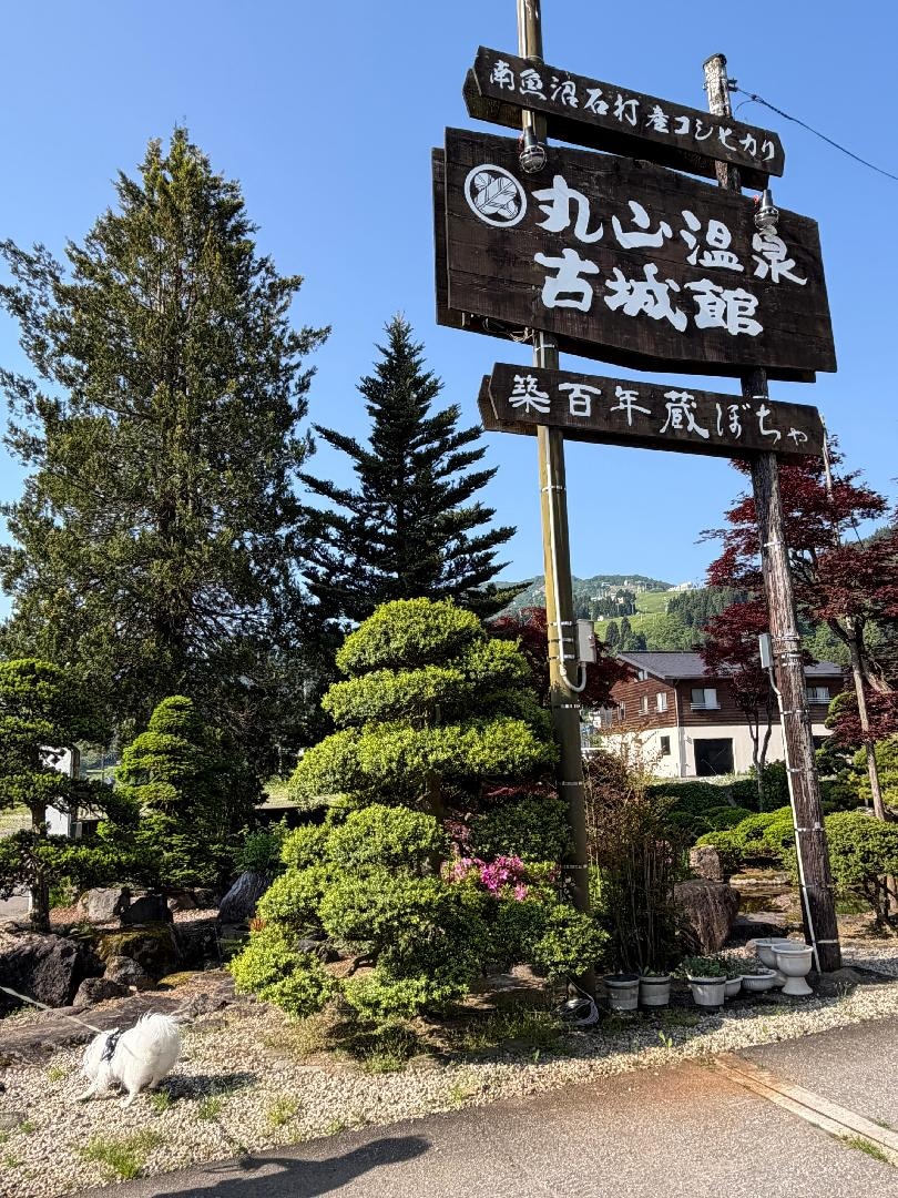 IMG_5694.jpeg