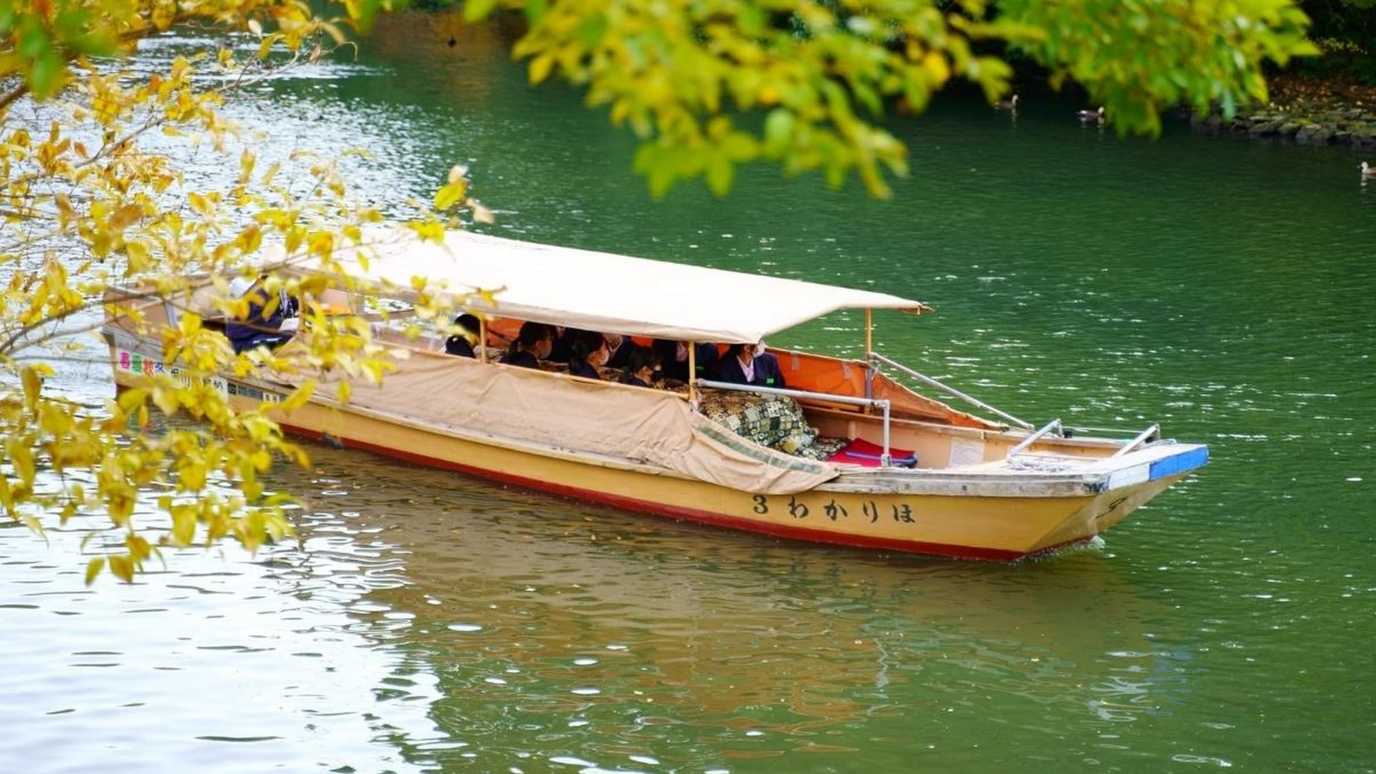 [Horikawa Pleasure Boat] The Horikawa Pleasure Boat travels along the moat that surrounds Matsue Castle.
