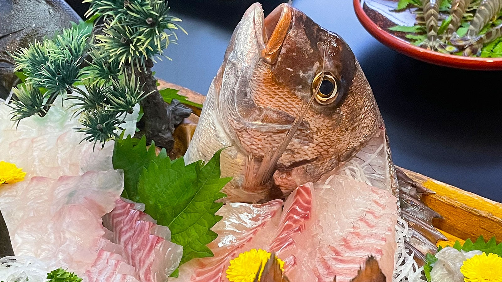도미선 모듬
