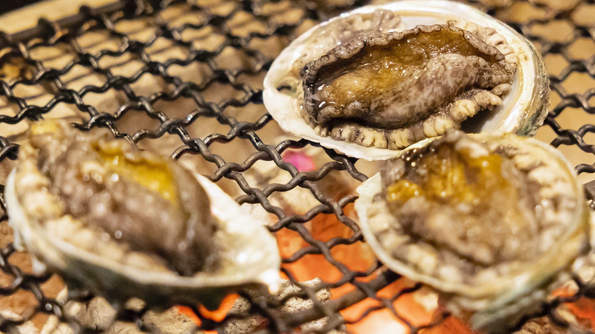 Hãy thưởng thức bữa ăn kaiseki nướng robata trong không gian hoài cổ của Sansatei. *Hình ảnh