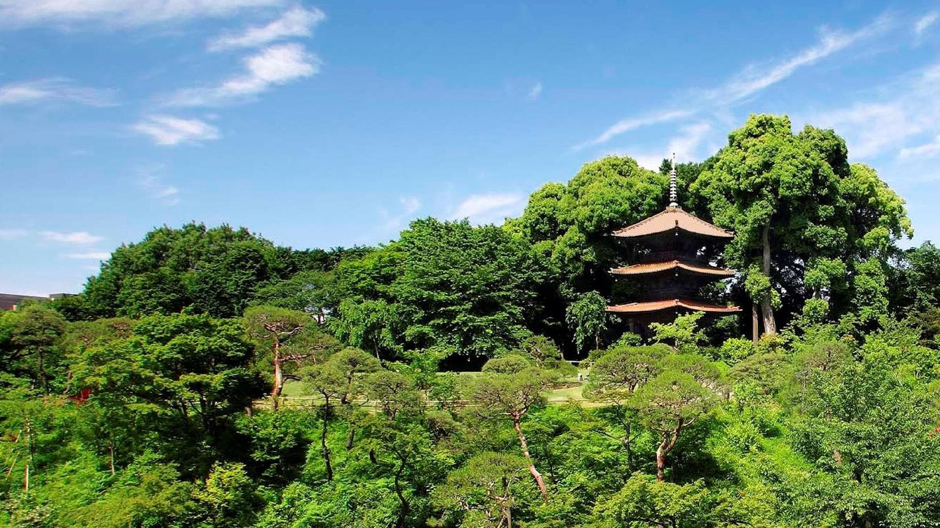 Three-storied pagoda in the garden *