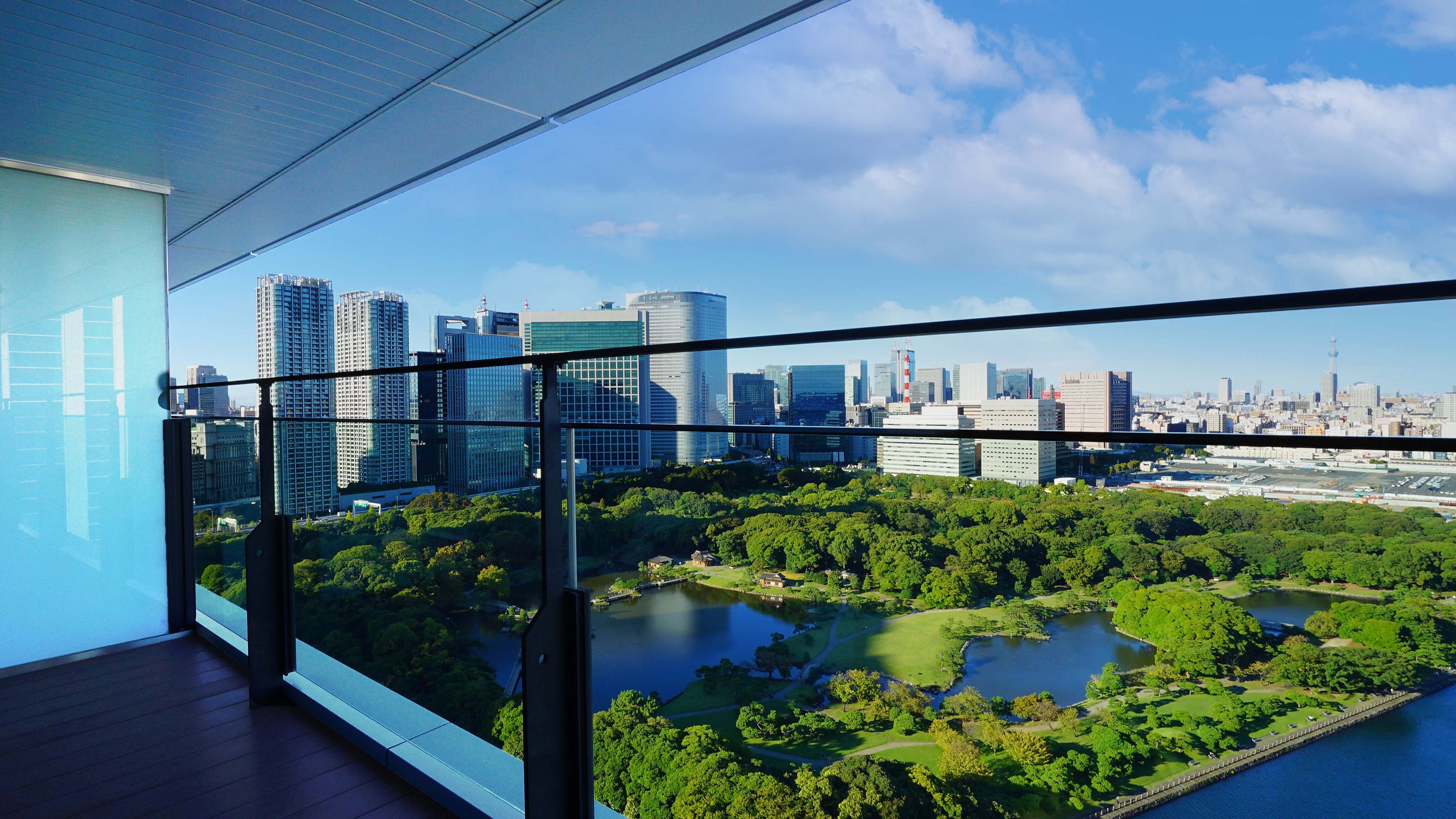 花园景观