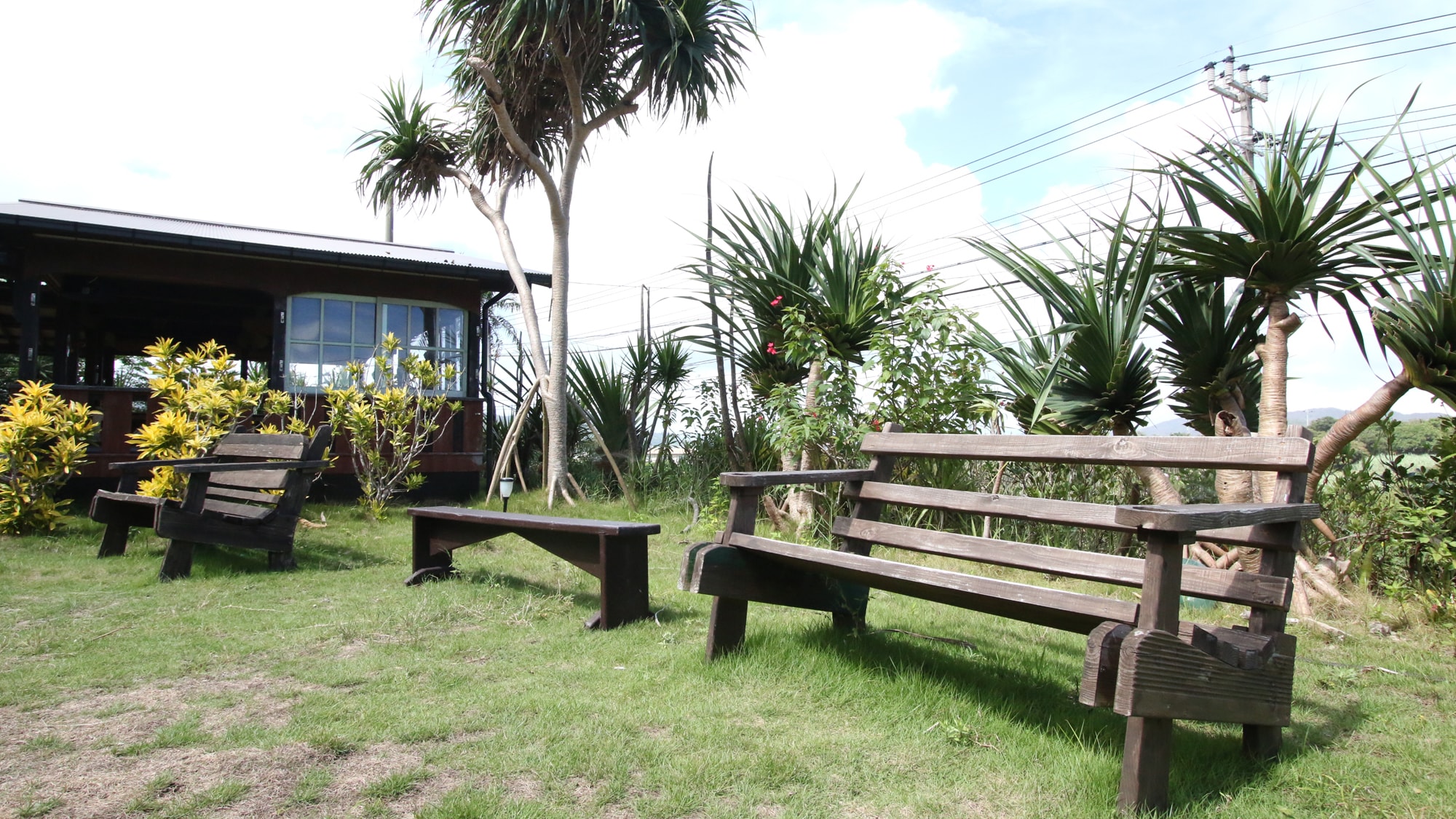 Relax on a bench