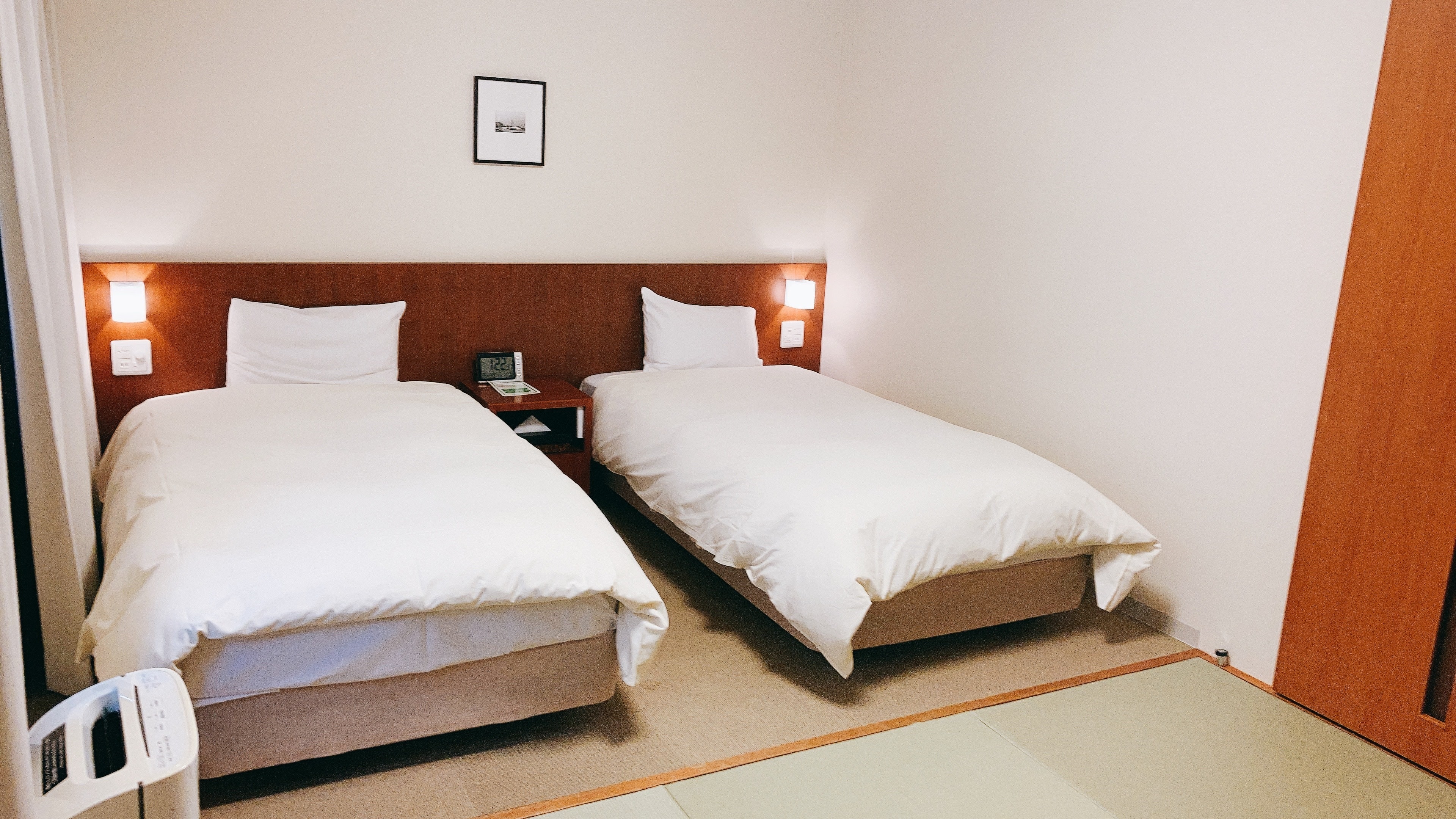 Japanese-Western style room 25.5 square meters for up to 4 people (2 beds, 2 futons), shower booth