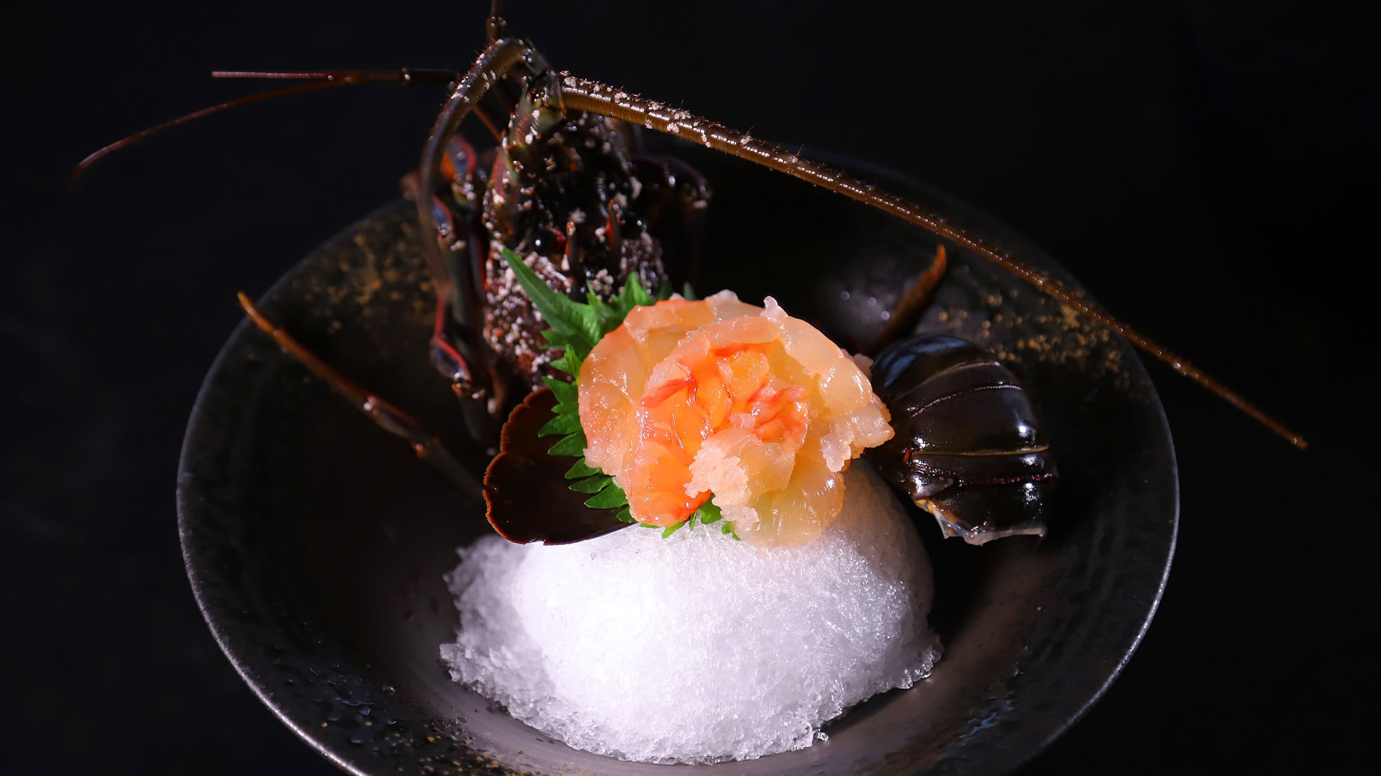 Một ví dụ về món sashimi tôm hùm. Từ tháng 10 đến tháng 3, đầu bếp sẽ đánh bắt chúng bằng lưới đánh tôm hùm gai.