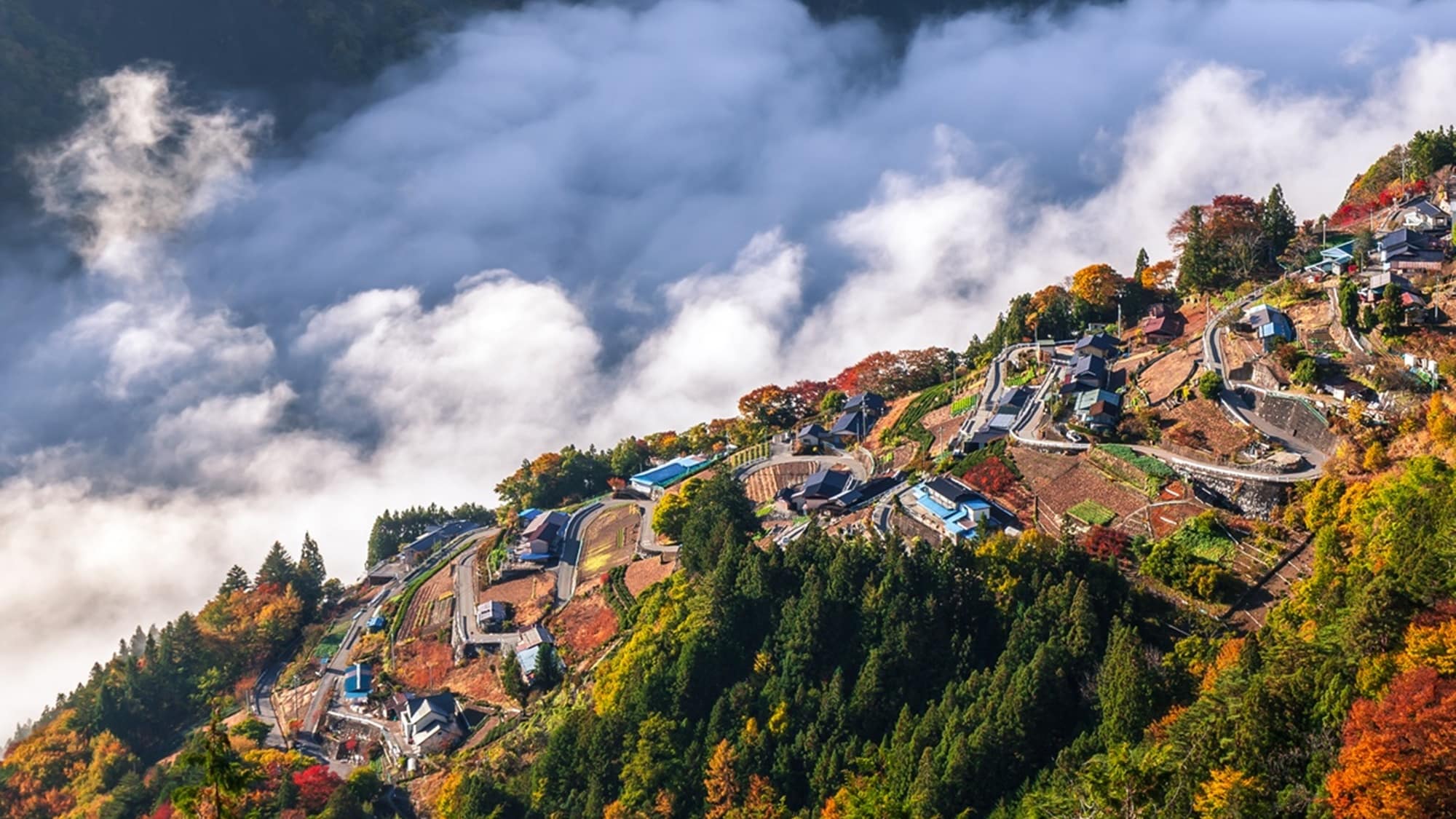 **[Toyamago / Shimoguri Village] The view from the viewpoint is spectacular! Especially recommended during the autumn foliage season.