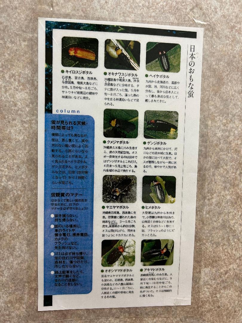 IMG_1257.jpeg