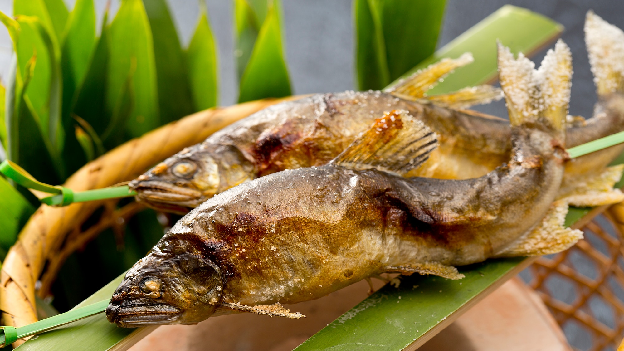 Một phần nhỏ cá ngọt mùa hè thơm ngon (2000 x 1125)