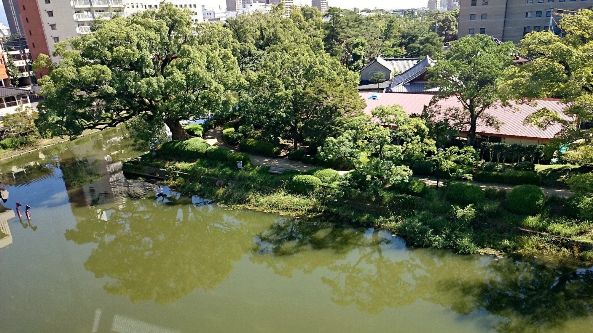 公園景觀