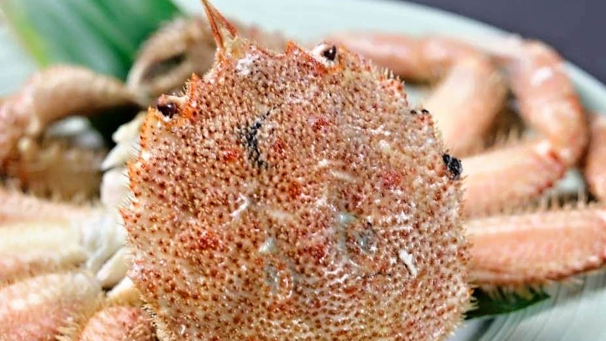 ■Cua lông Miyako/Cua lông được khuyến khích ăn vào mùa đông!