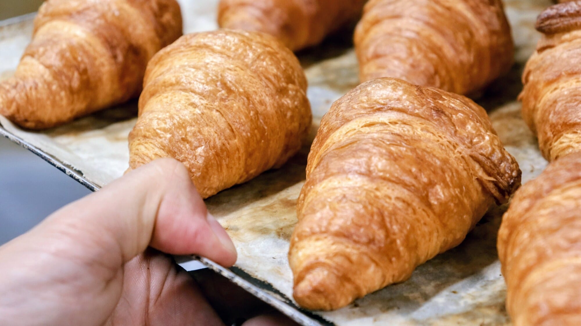 Breakfast buffet image