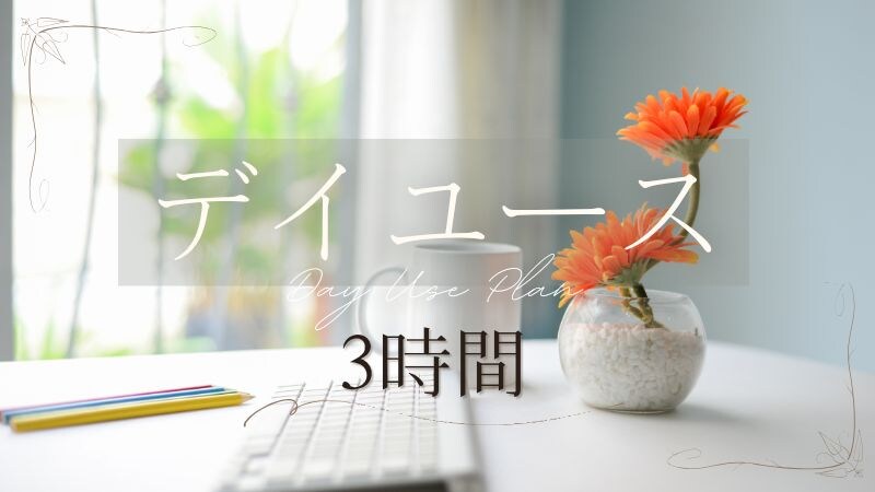 デイユース3時間プラン