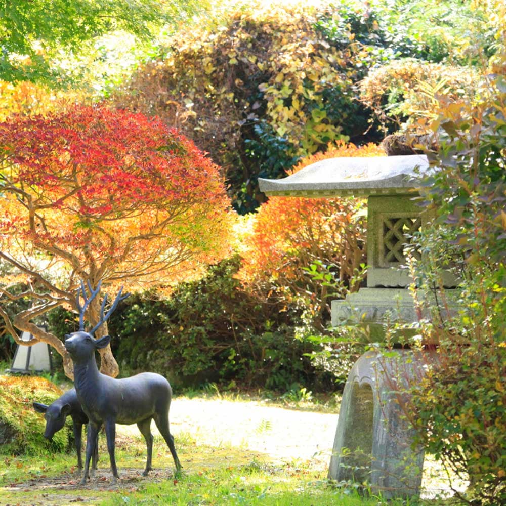 花園 秋季