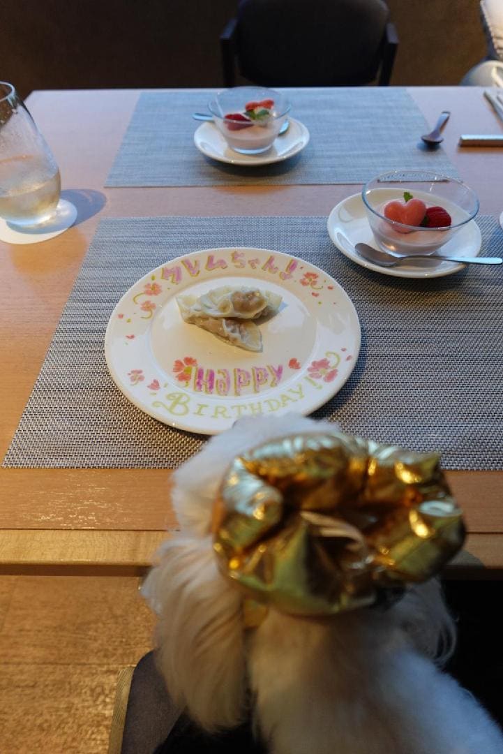 DSC02603.jpeg