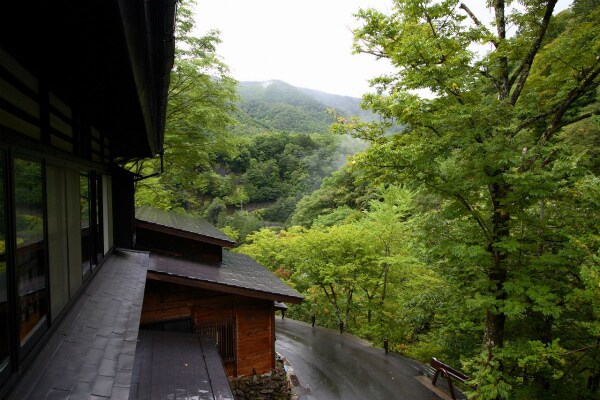 View from the room