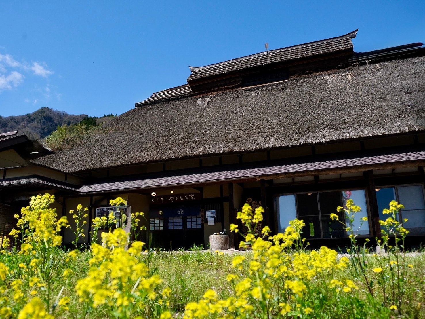 Yakimochiya musim semi