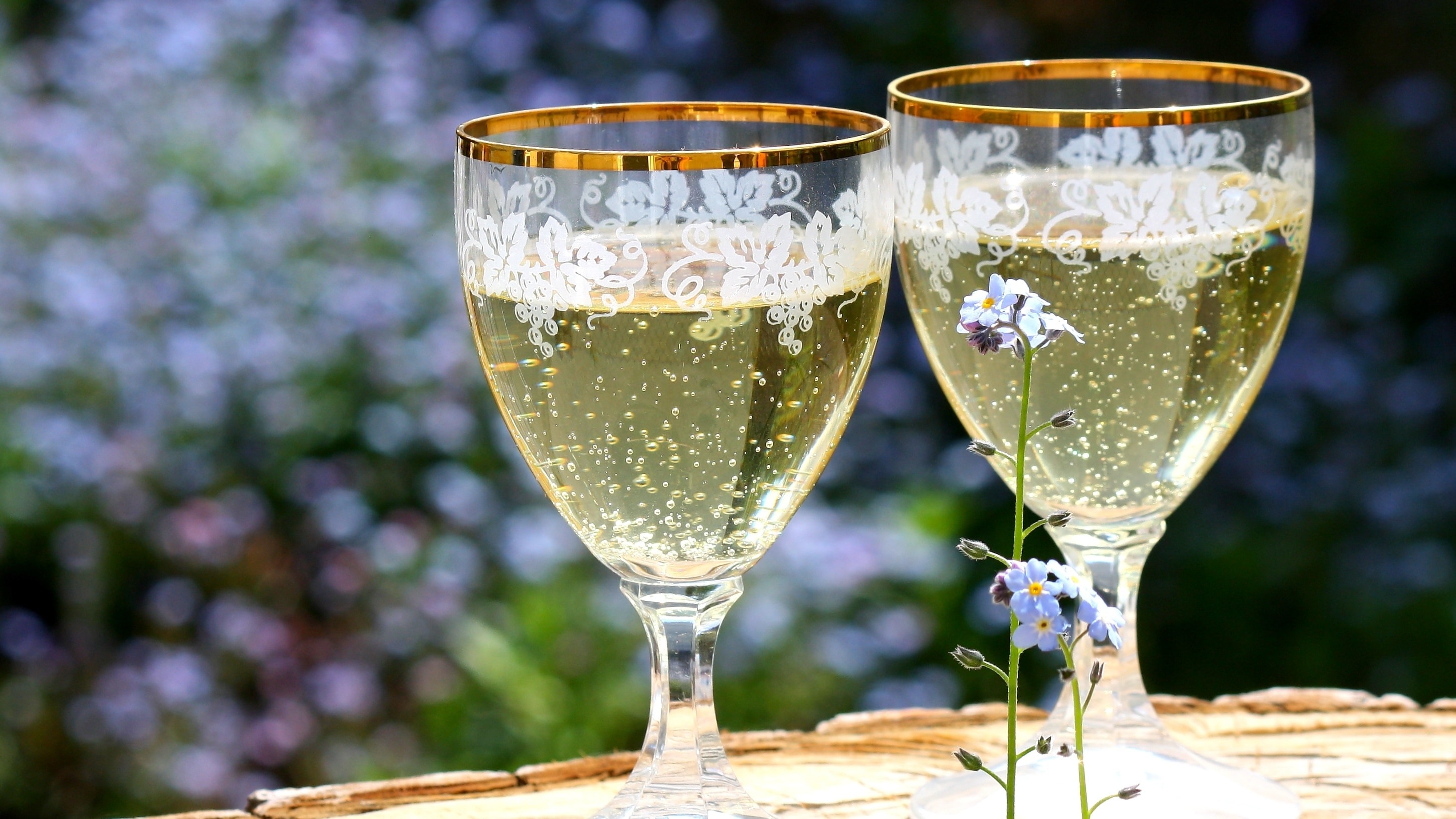 Image of a glass of wine for a toast