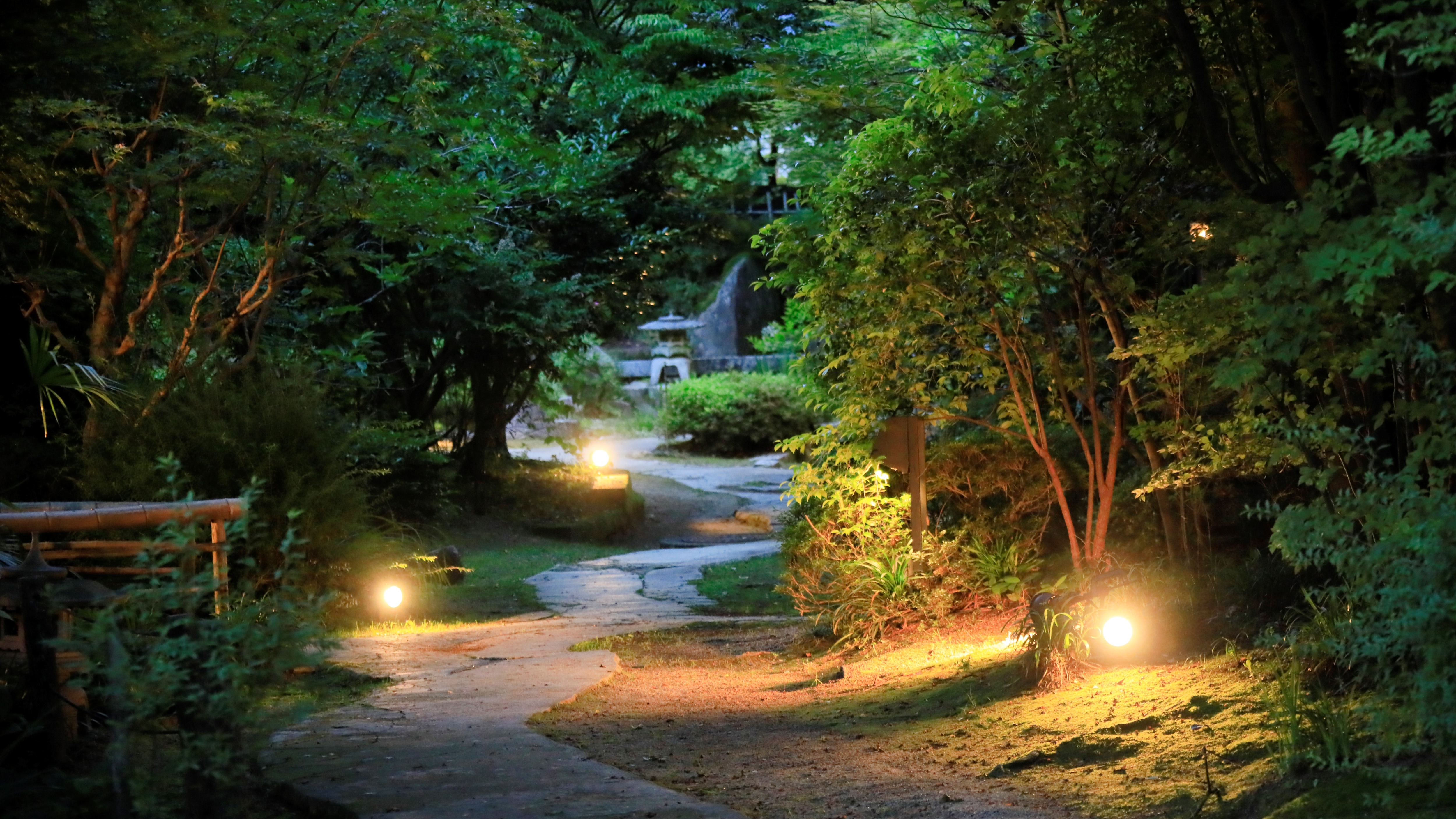 When the sun goes down, the garden lights up.