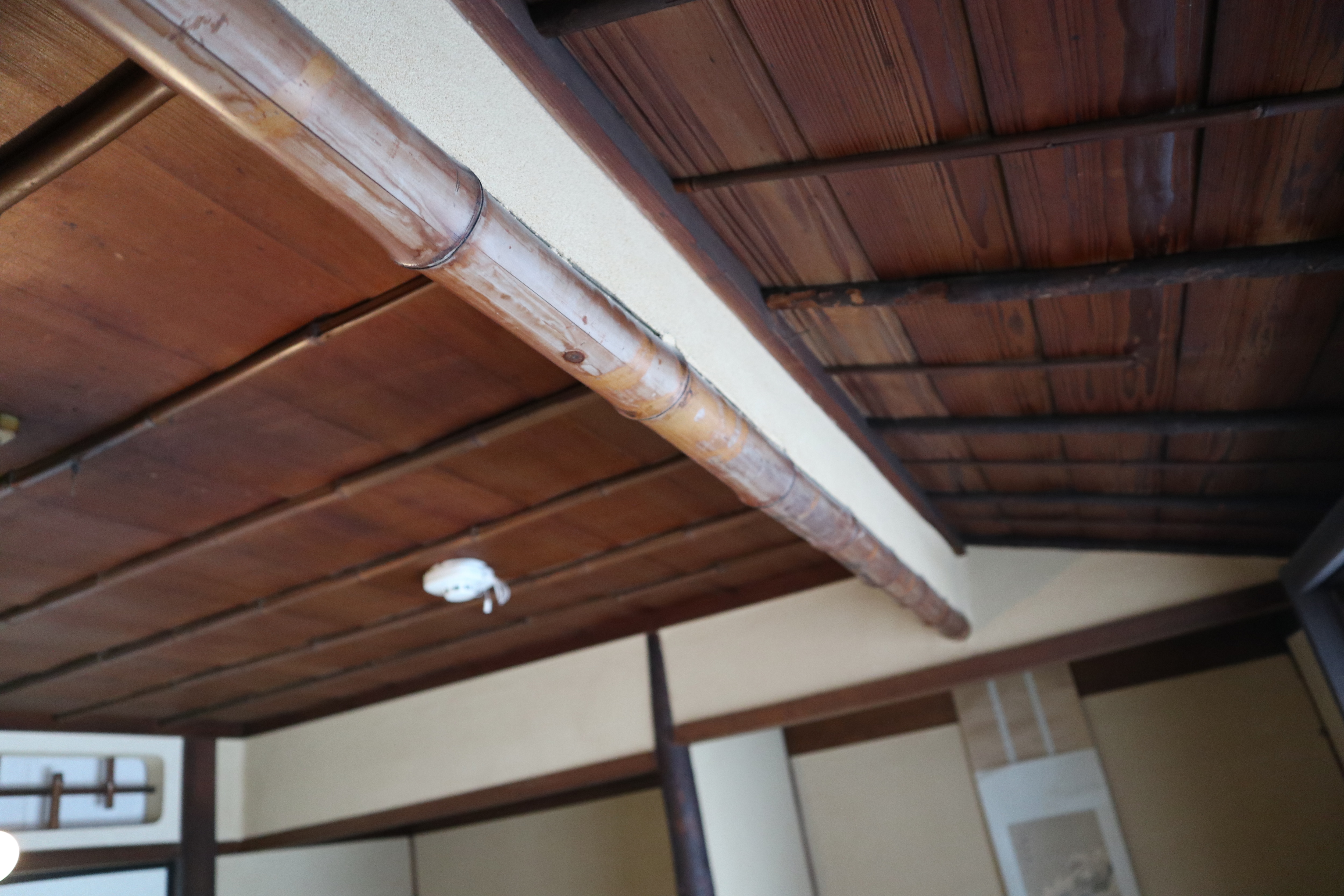 桥爪楼 202 号房间