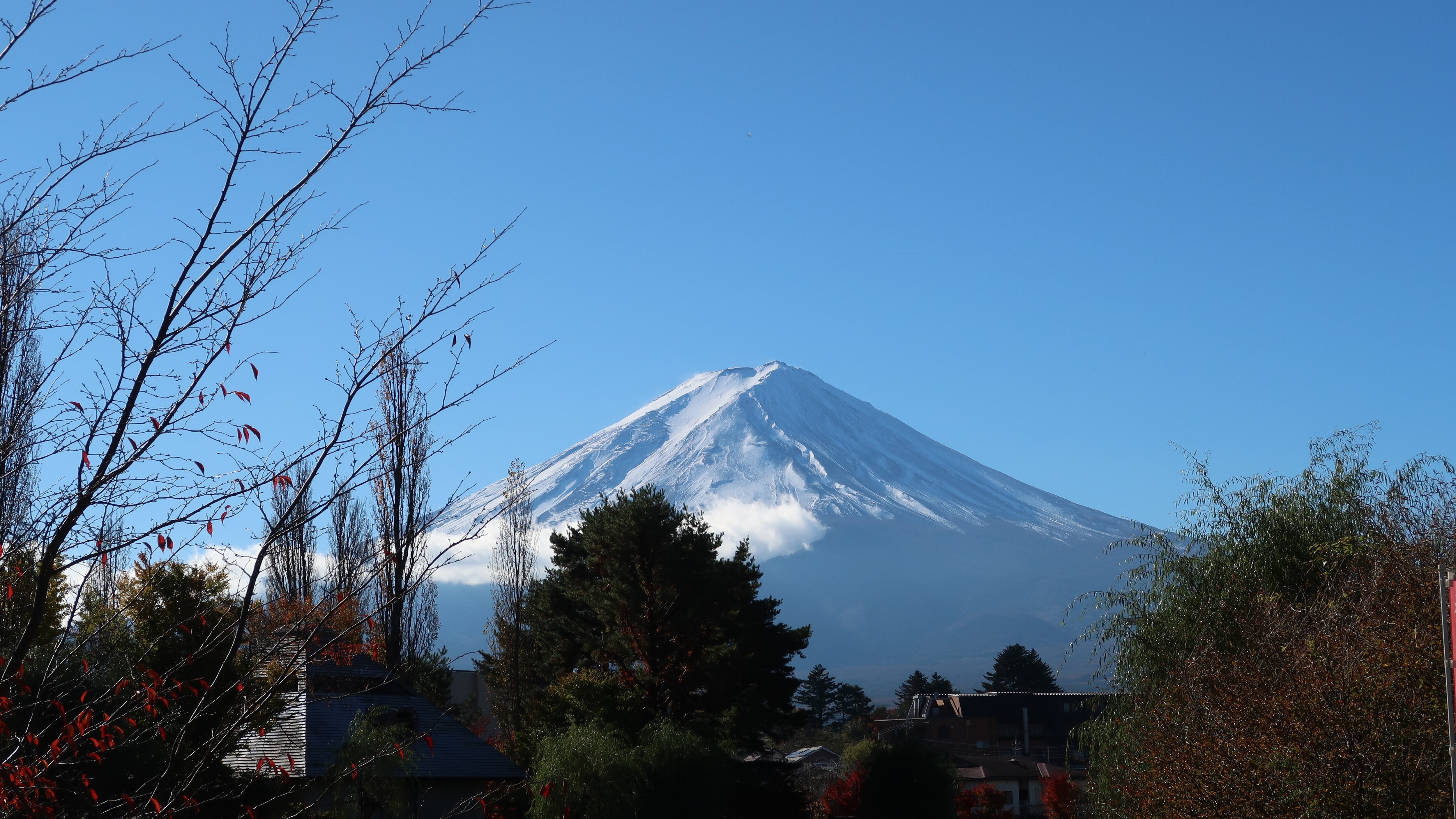 A spectacular view of Mt. Fuji from Oike Park near the inn