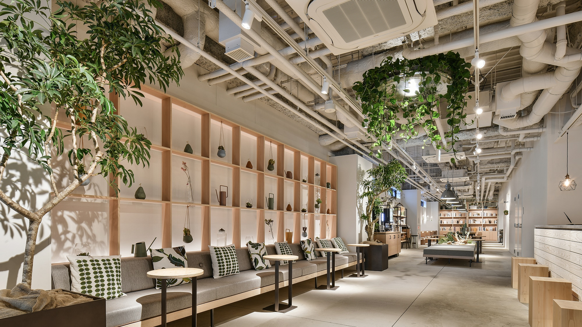 Lounge A healing space surrounded by greenery with the theme of greenery