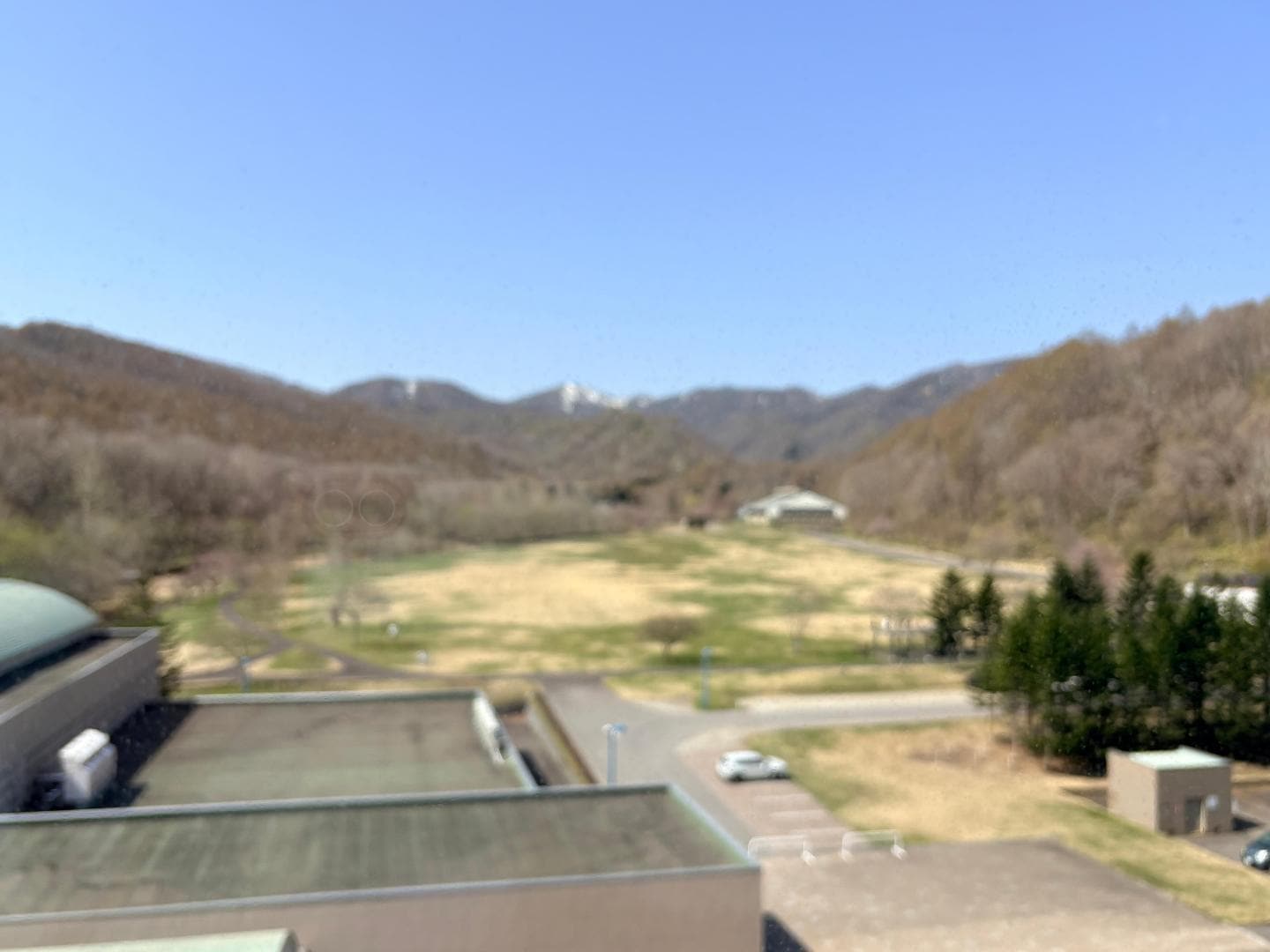 IMG_2500.jpeg