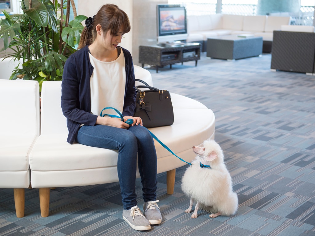 Relax with your doggy in the lobby