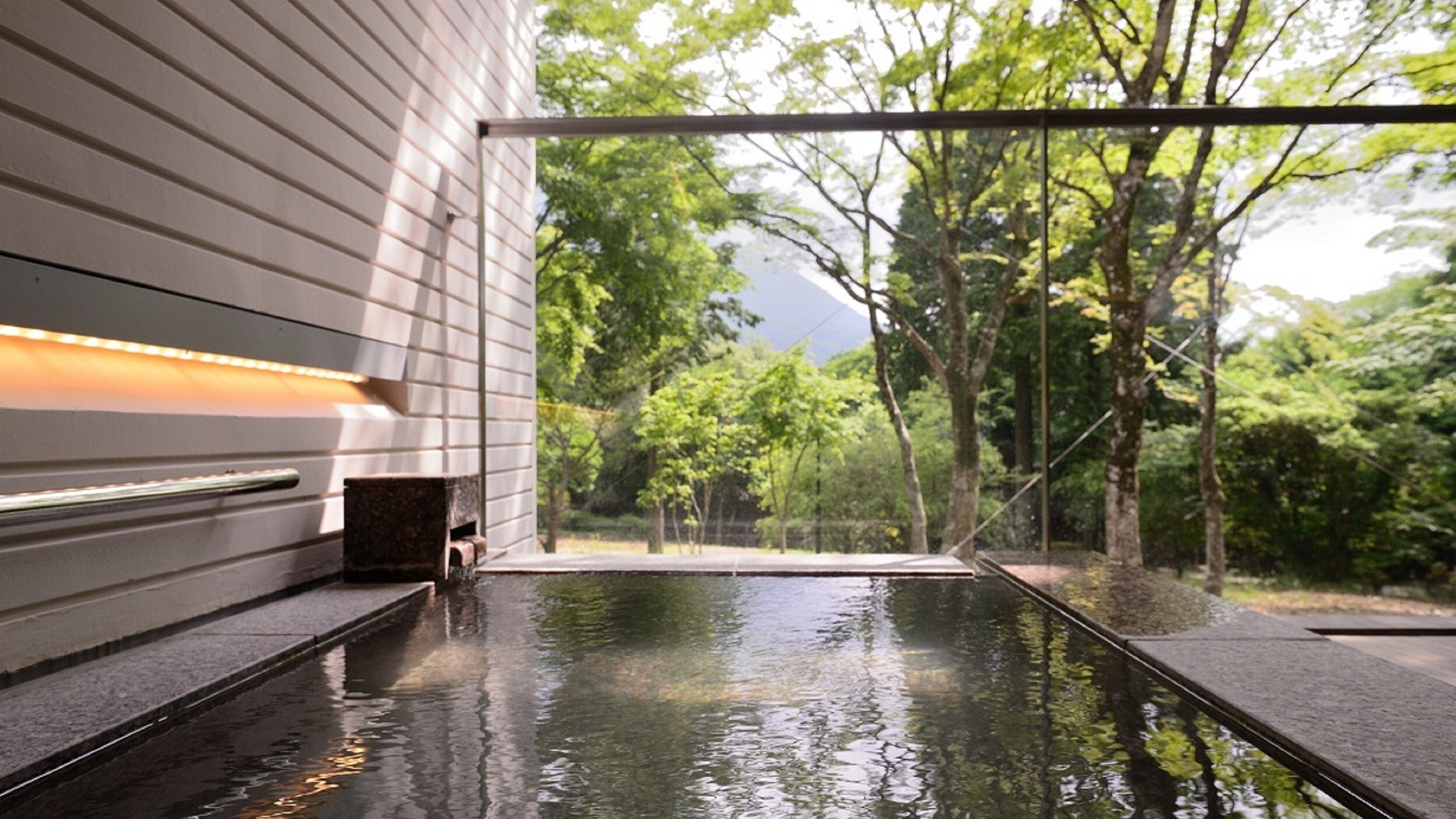 Twin room with open-air hot spring bath (open-air hot spring bath)