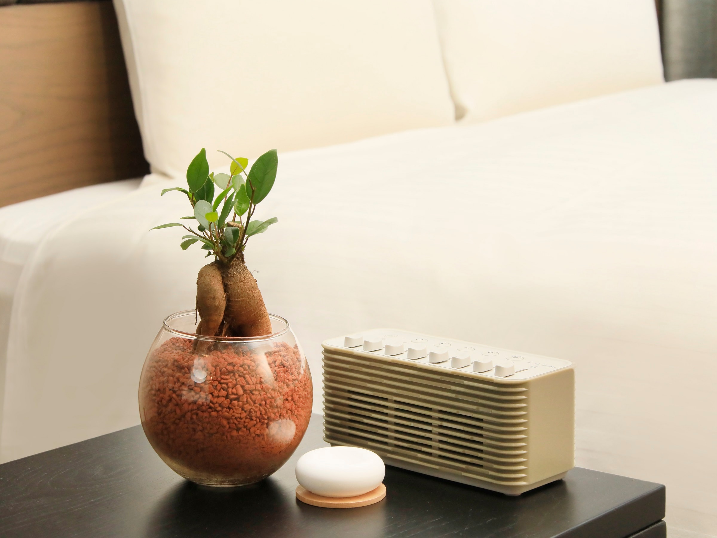 Guest Room Amenities