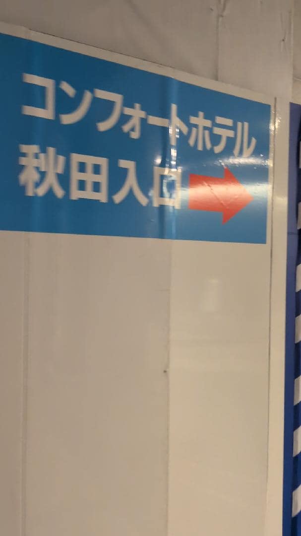 9196.jpg