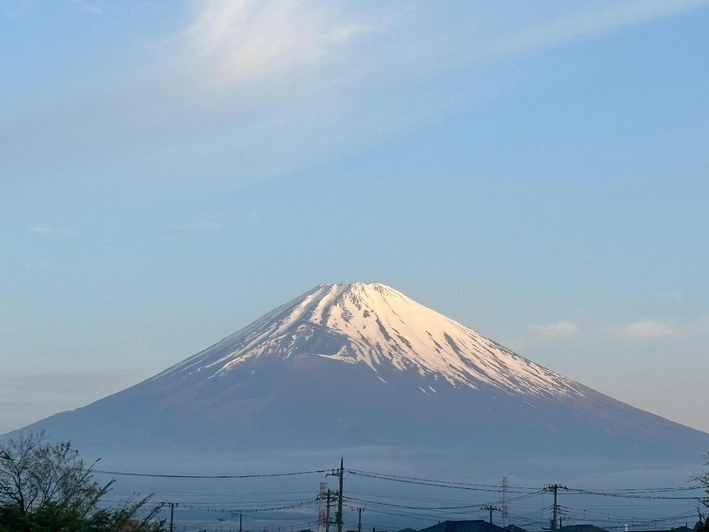 68C8441A-9350-4BA0-8139-F6B553C4E681.jpeg