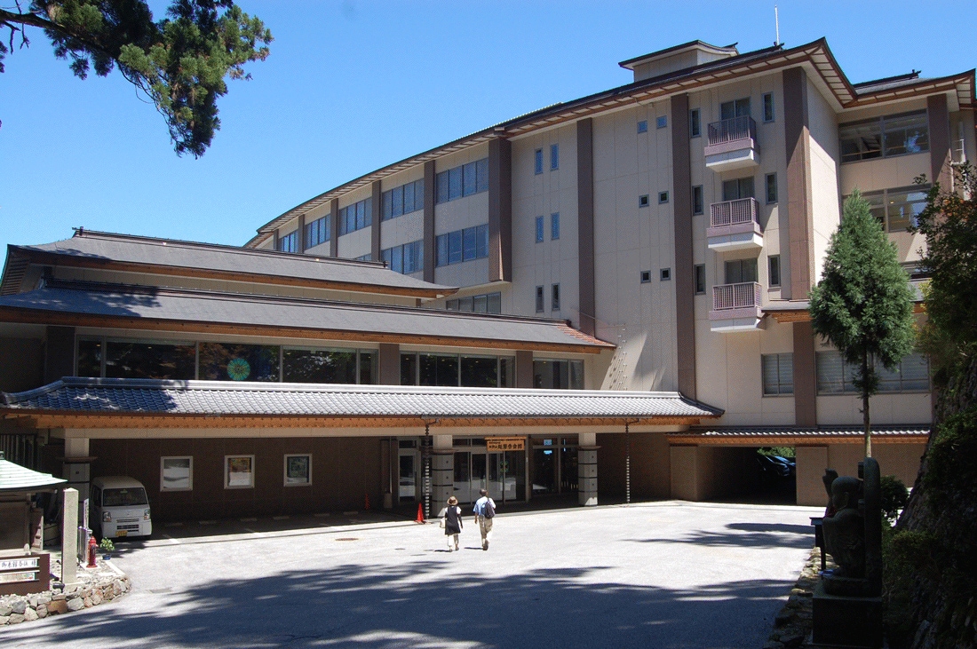 Appearance image