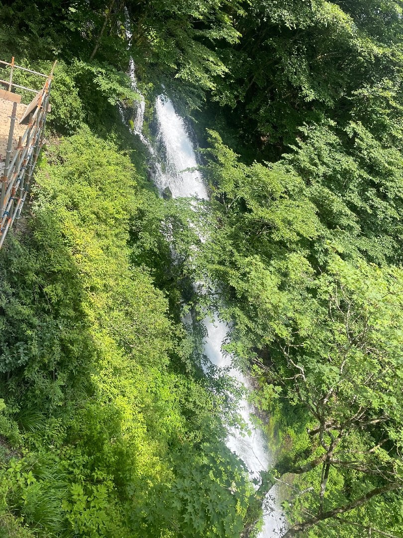 IMG_3322.jpeg