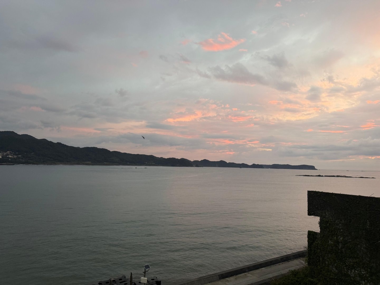 8812D7F6-C6FE-4D5D-BF5D-AB16483366AD.jpeg