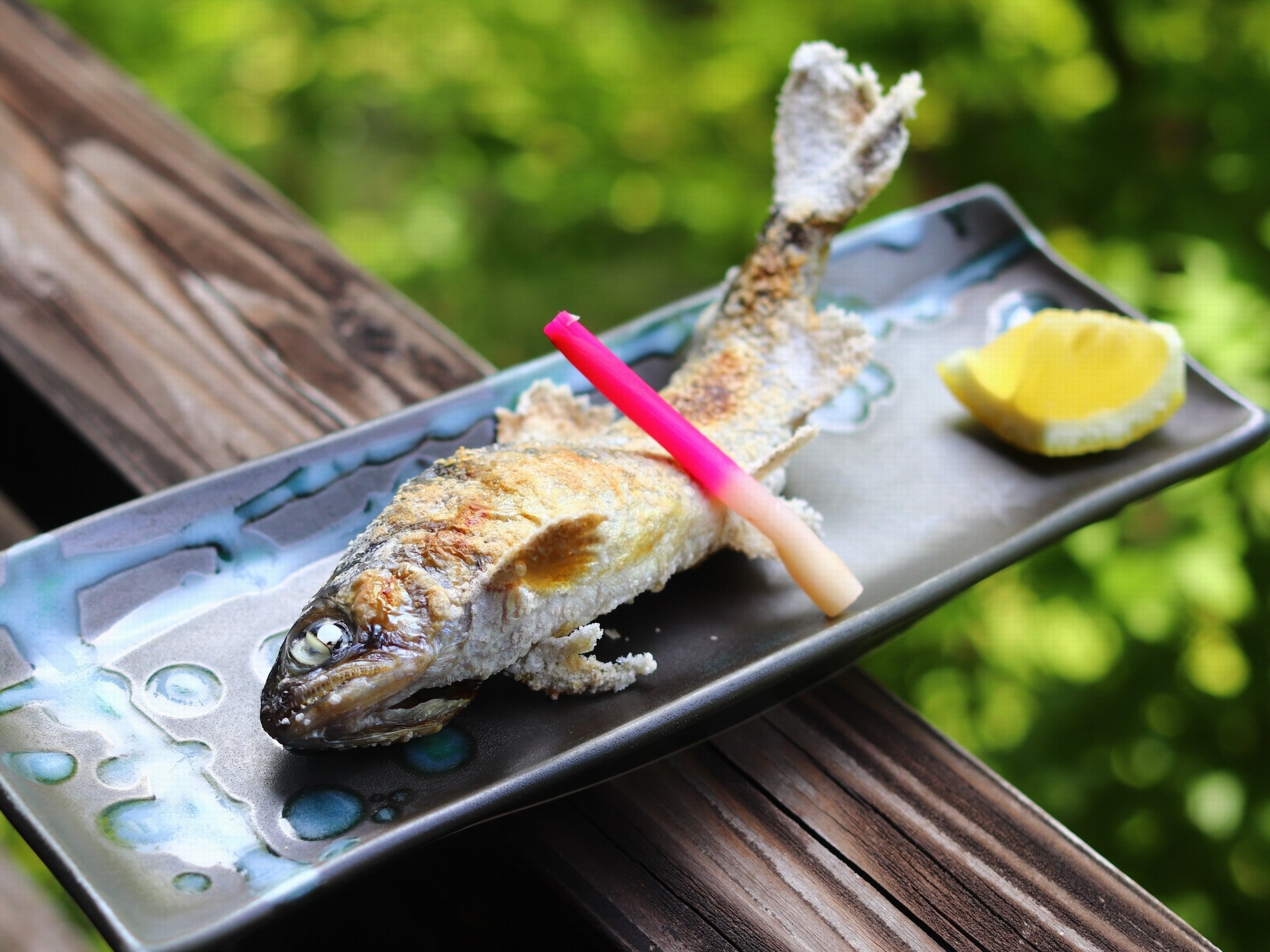 [Supper] Standard plan / Grilled fish with salt
