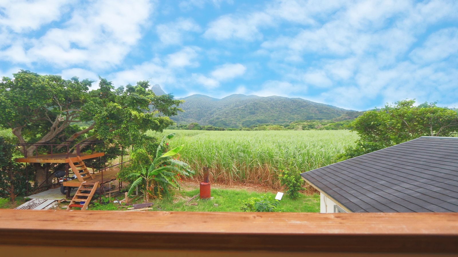 Kamar tamu yang menghadap gunung dan menghadap Taman Nasional Iriomote-Ishigaki*