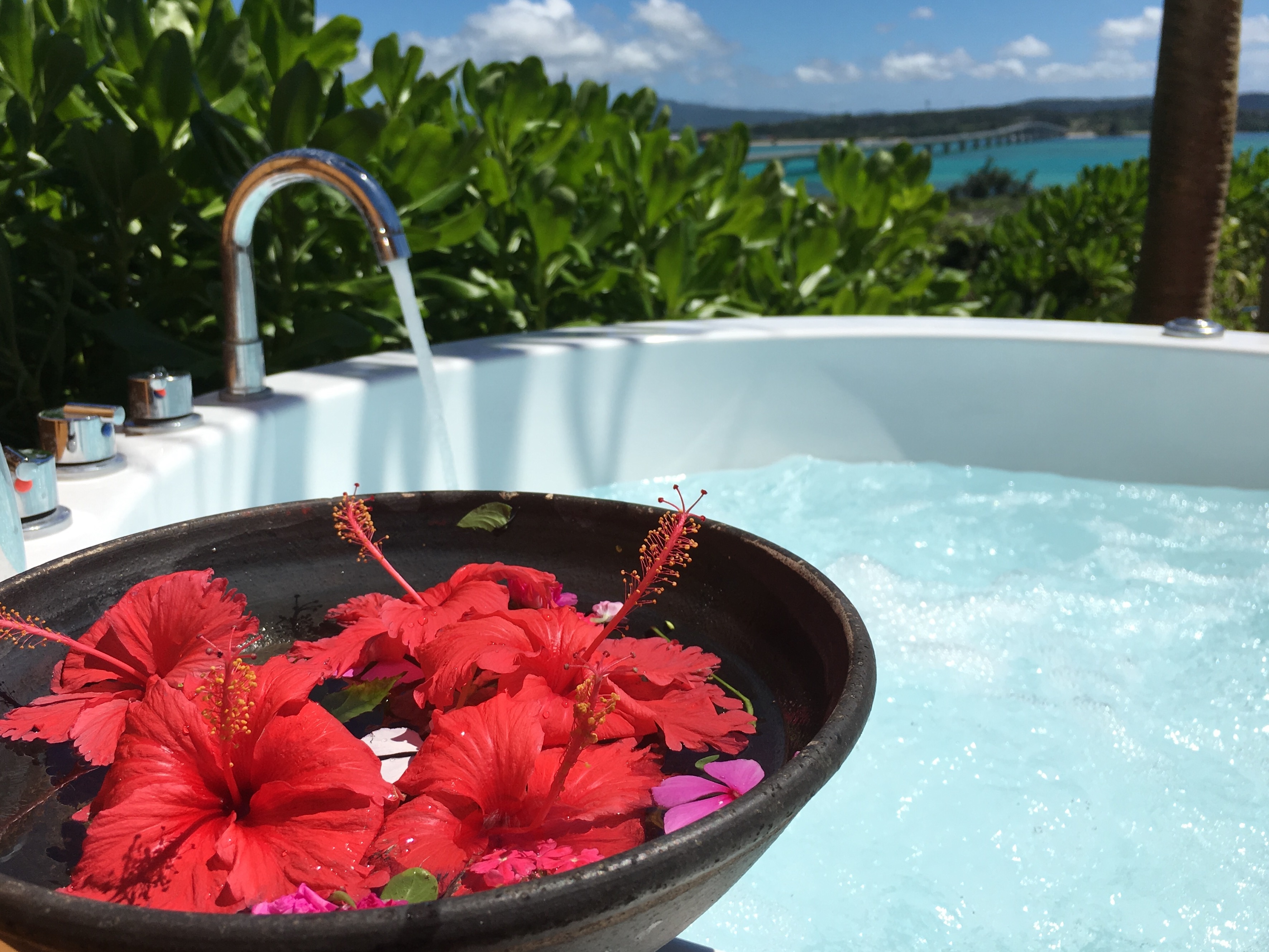 Landlord's outdoor bath and flowers