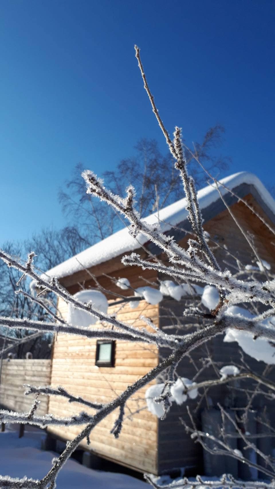 Ninguru Snow Scene 2