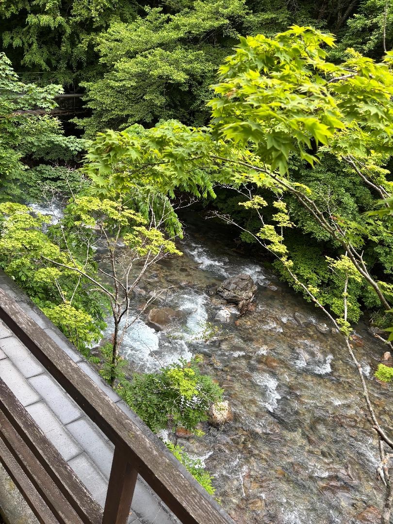 52B655FA-4557-4828-AA03-9839DB6875E4.jpeg