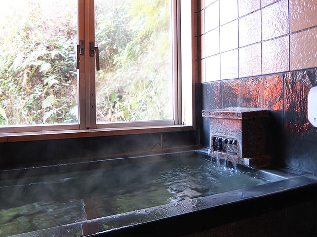 Guest room 202 Hot spring bath