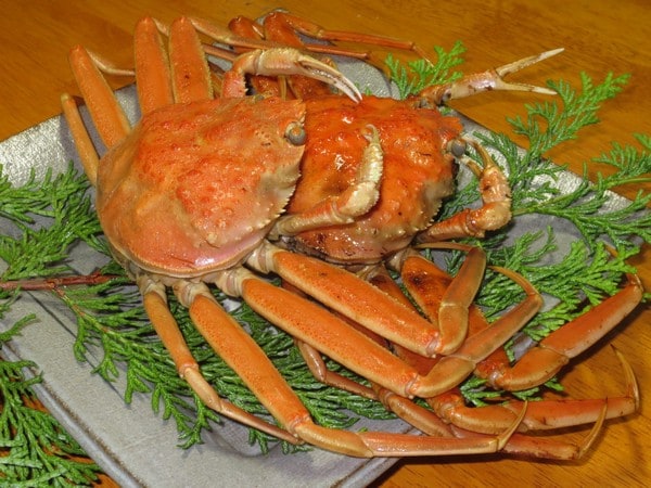 Sekokani: Female Matsuba crab
